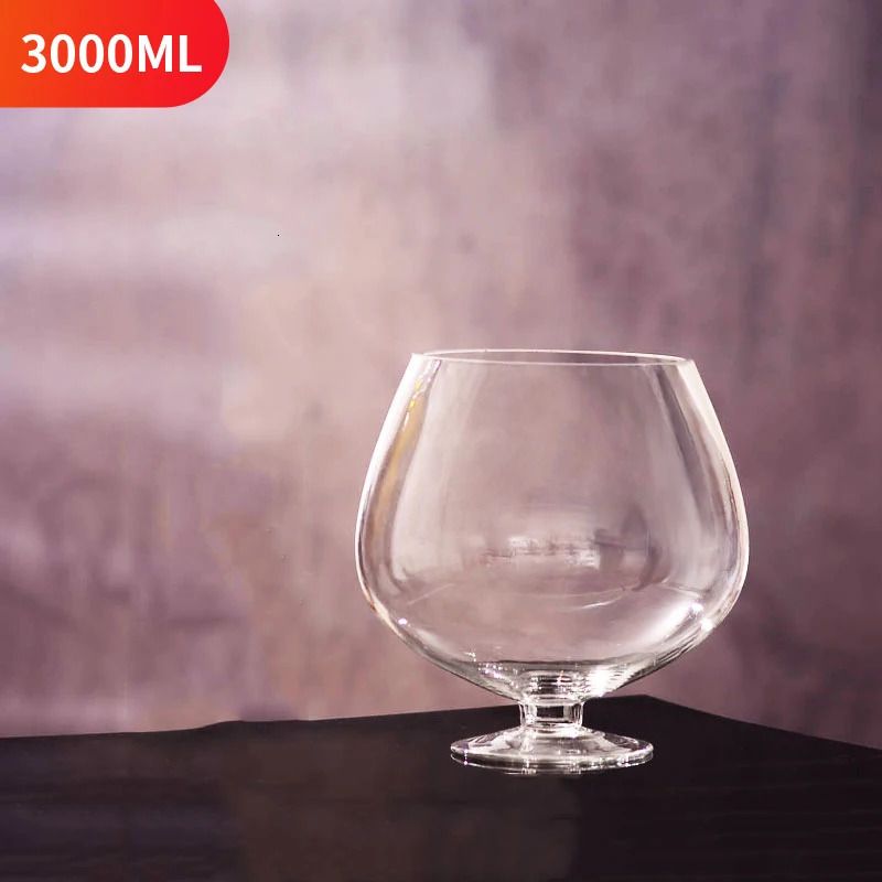 3000 ml