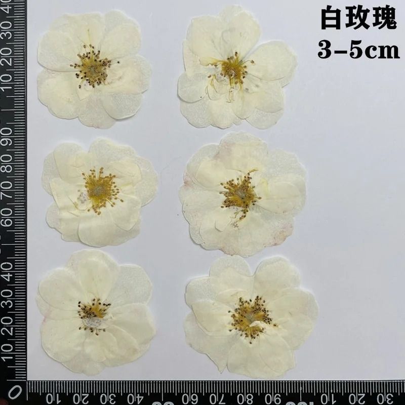 White 3-5cm