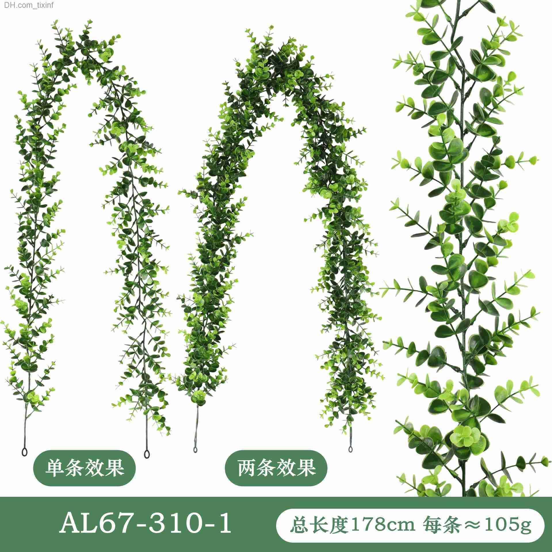 Al67 Eucalyptus Vine