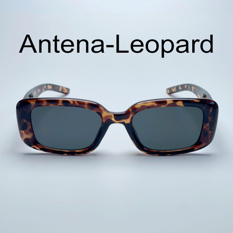 Antena-Leopard