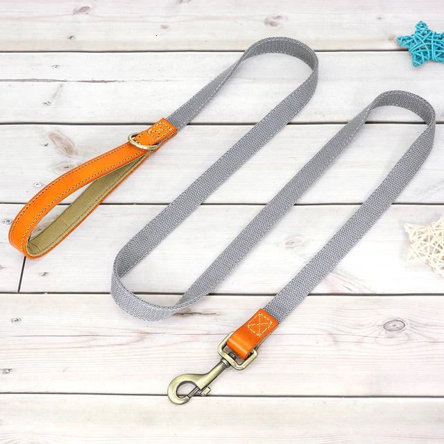 Leash cinza