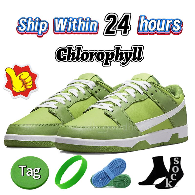 55 Clorofila