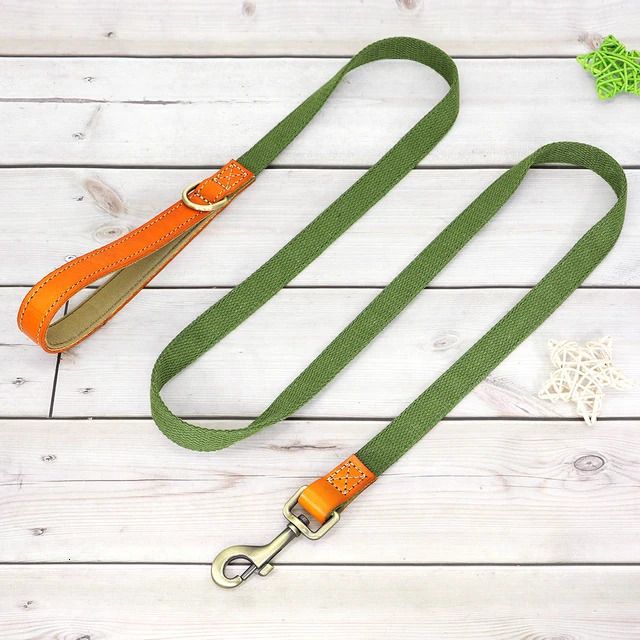 Green Leash