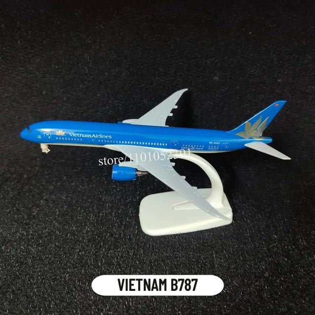 T09. Vietnam B787