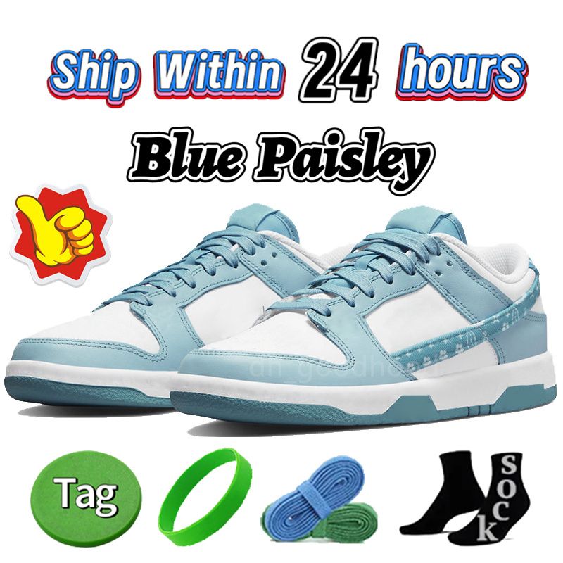 66 Azul Paisley