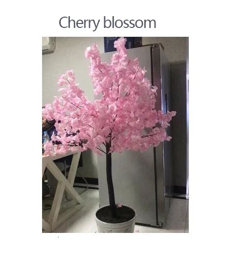 cherry blossoms