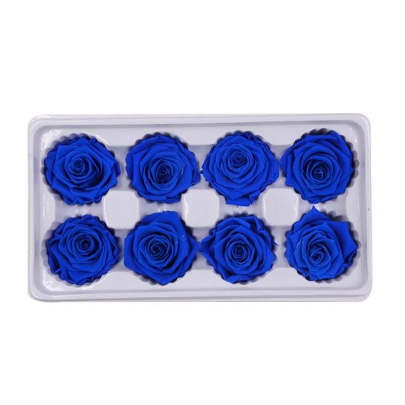 8pcs bleu foncé