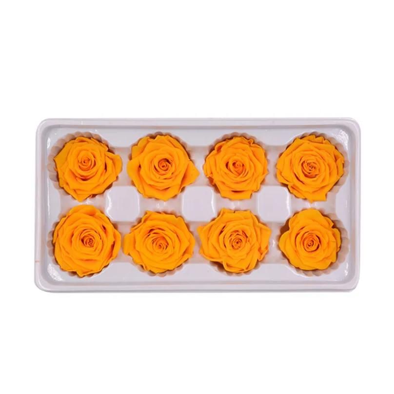 8pcs orange