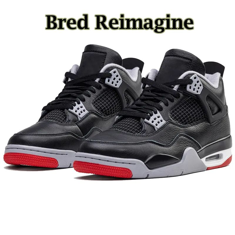 Bred Reimagine