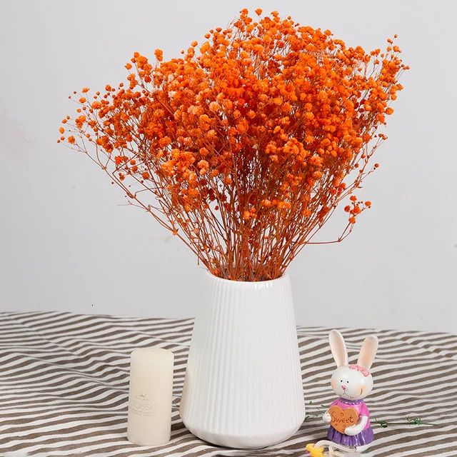 Gypsophila Laranja - 100g Sem Vaso