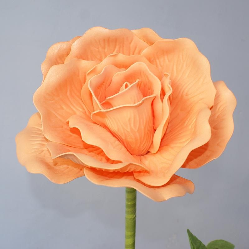 Tête de fleur d'orange