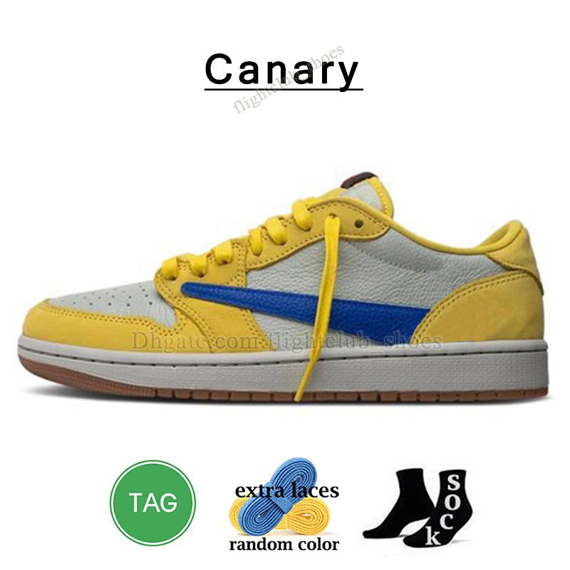 C16 36-47 Canary