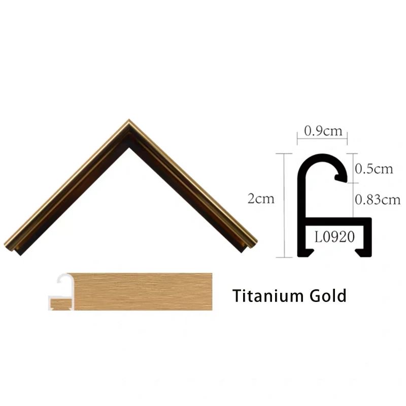 色：L0920-TITANIUM GOLDSIZE：40x50cm