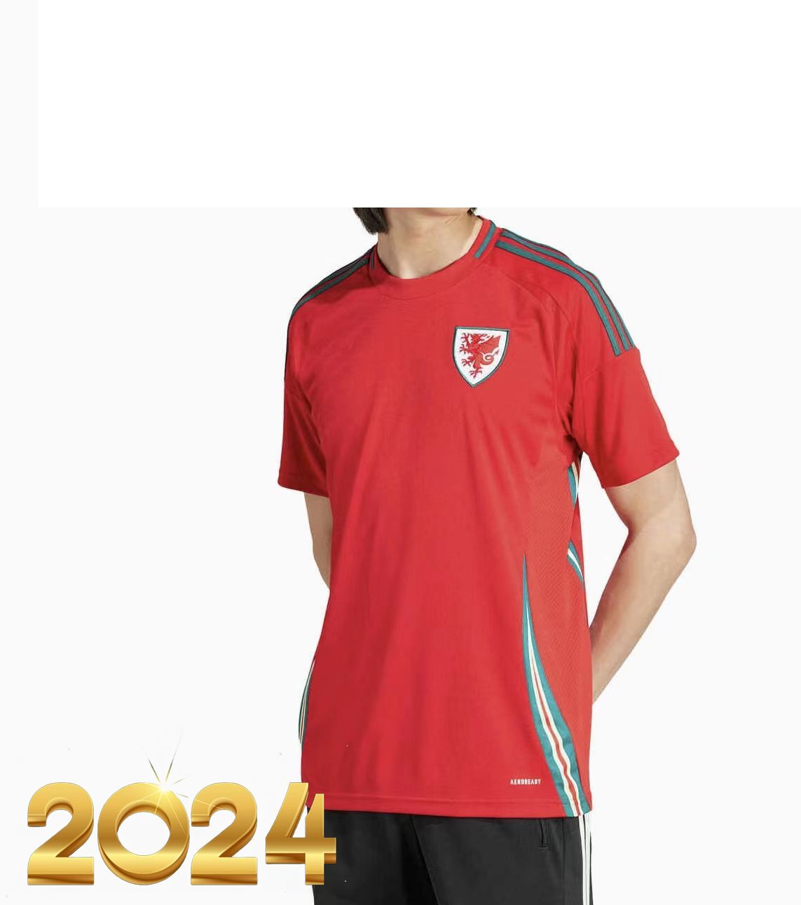2024 home wales