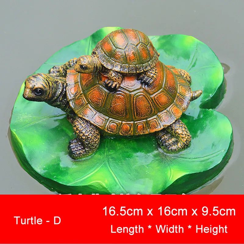 Color:Turtle D