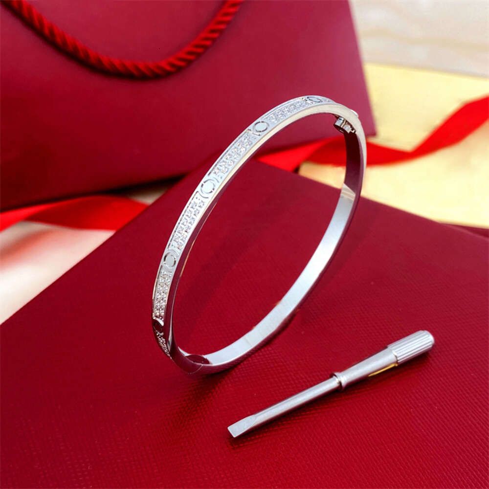 17 # Nova pulseira de diamante de duas fileiras em prata