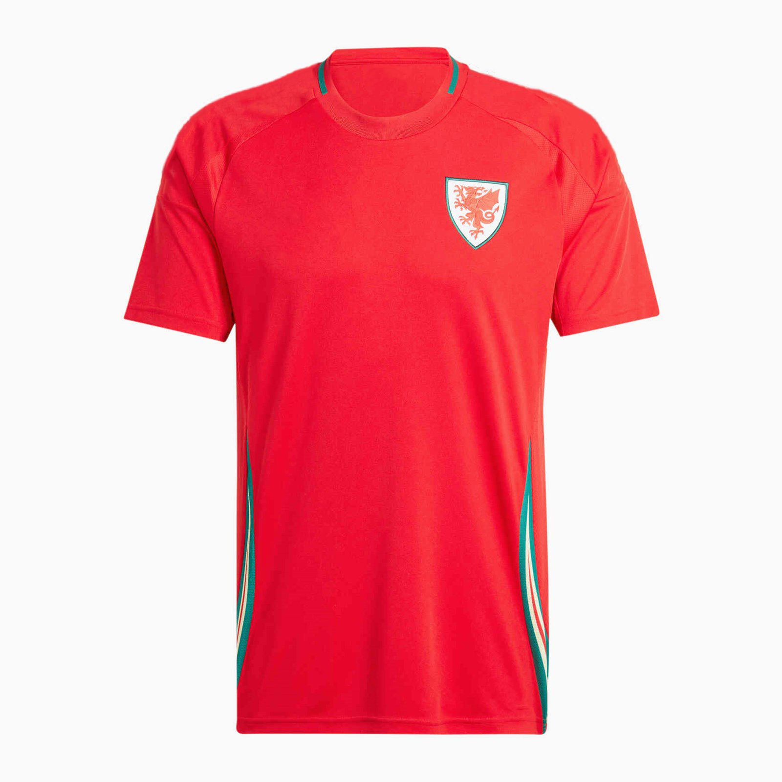 2024 Wales home