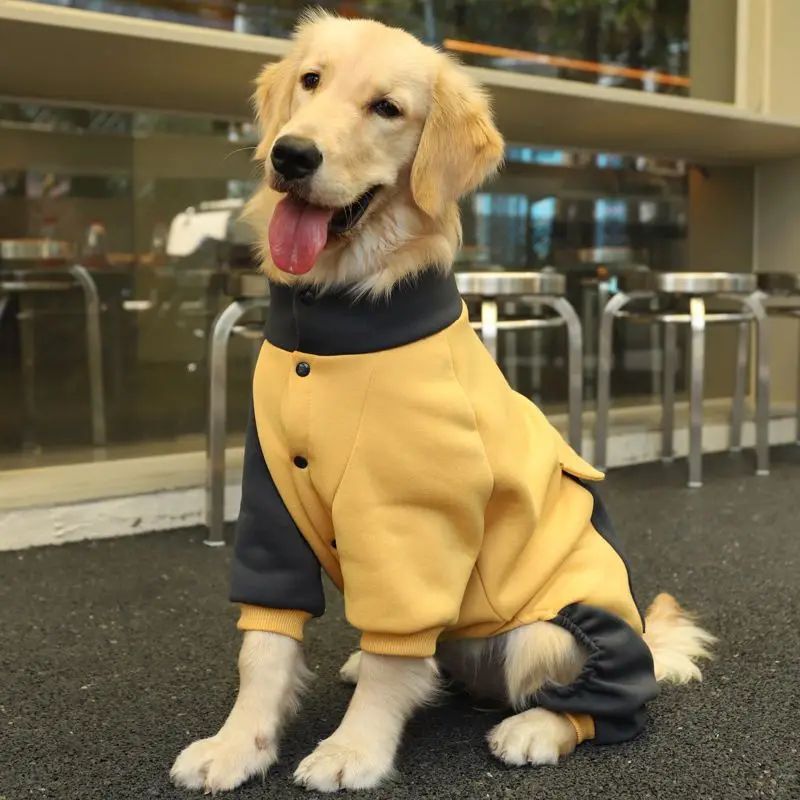 Amarelo sem chapéu