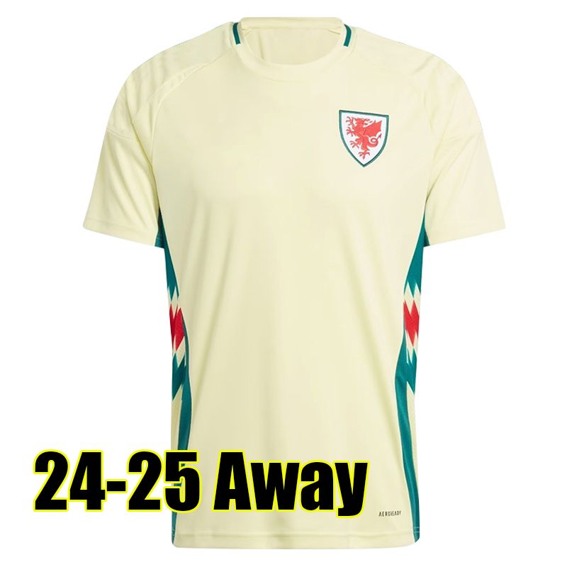 Weiershi 24-25 Home Kit