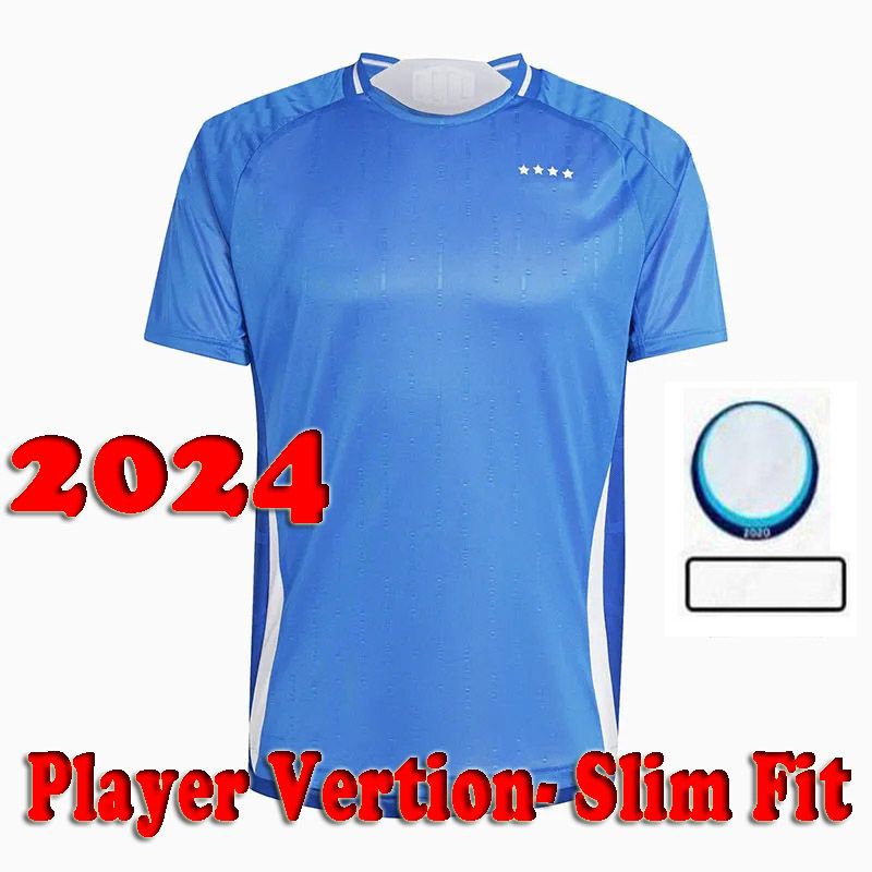 Player verison 24 25 Home 2 patch