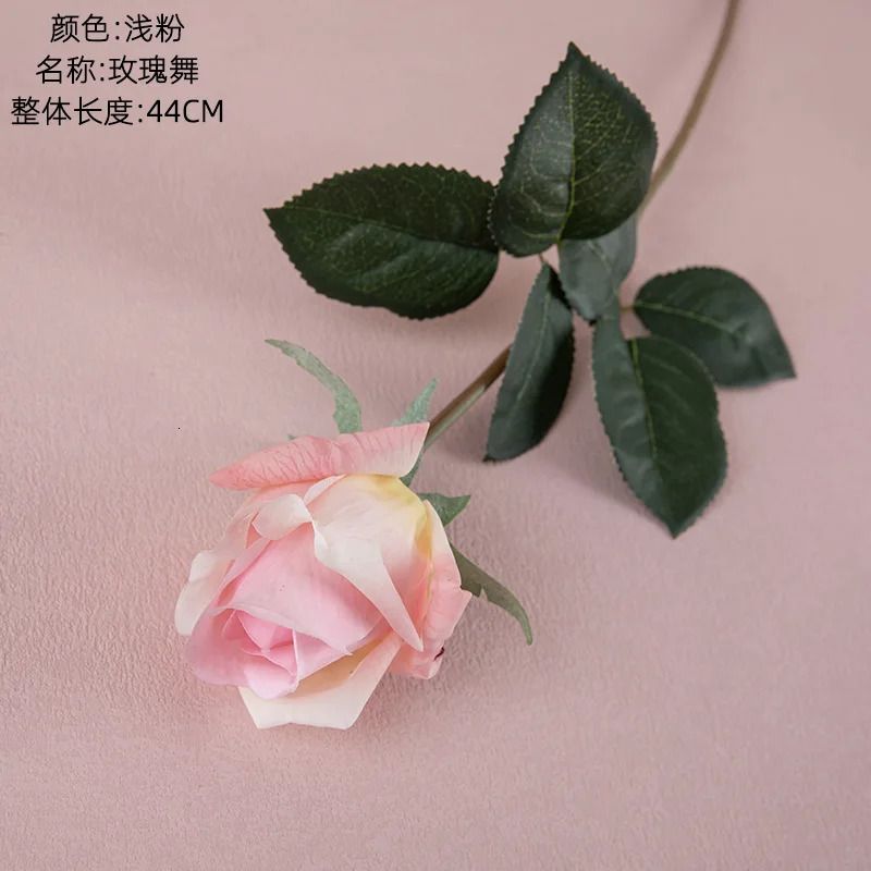 Light Pink Rose