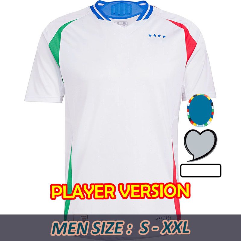 Away Player Version 2024 Euro Patch