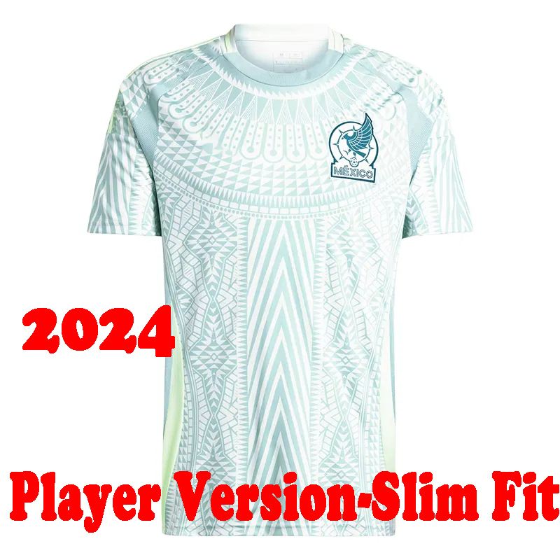 Player verison 24 25 Away