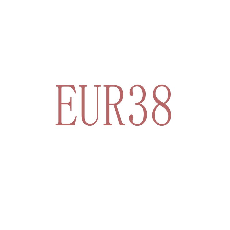 EUR 38