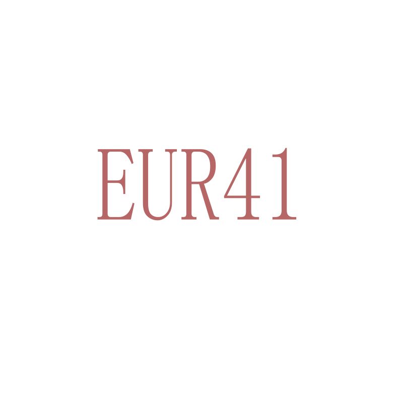 EUR 41