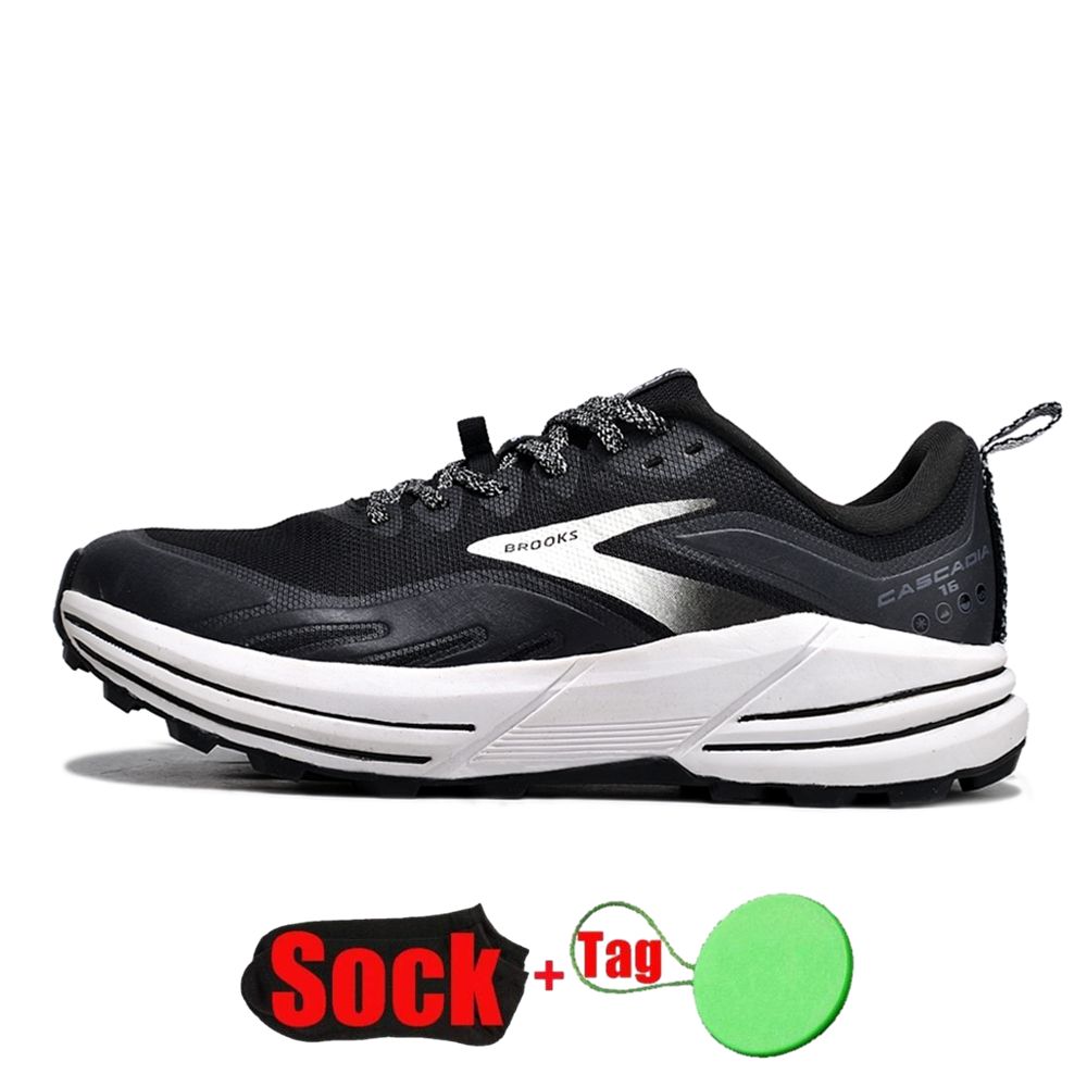 Shoe-10