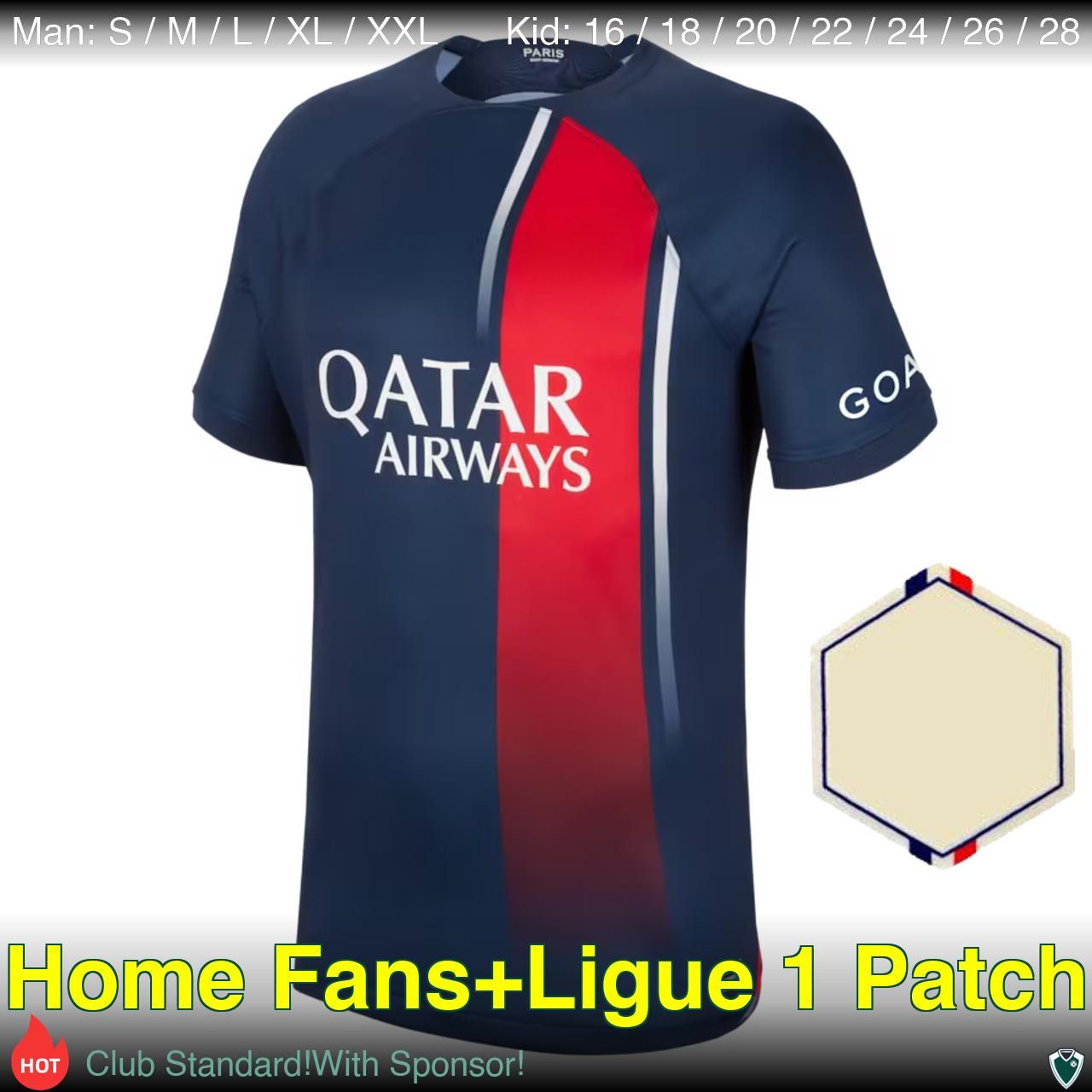 Home Player Ligue 1