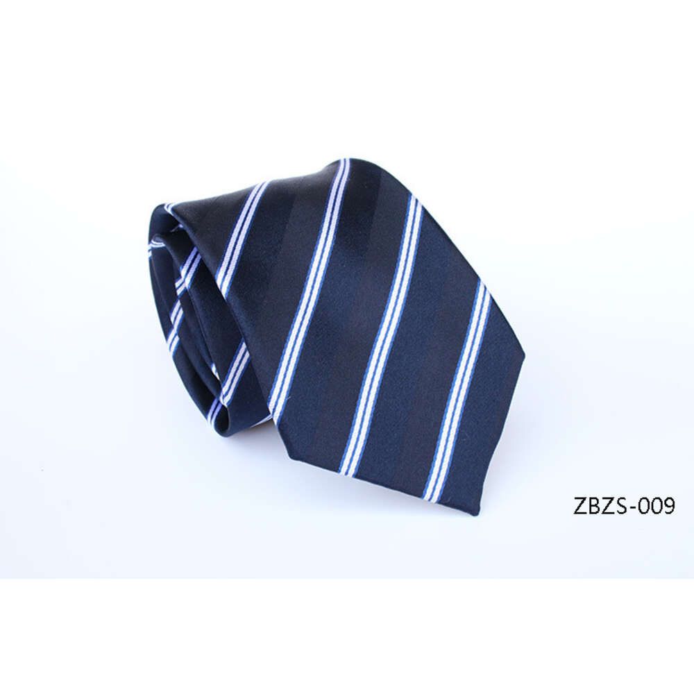 ZBZS-009