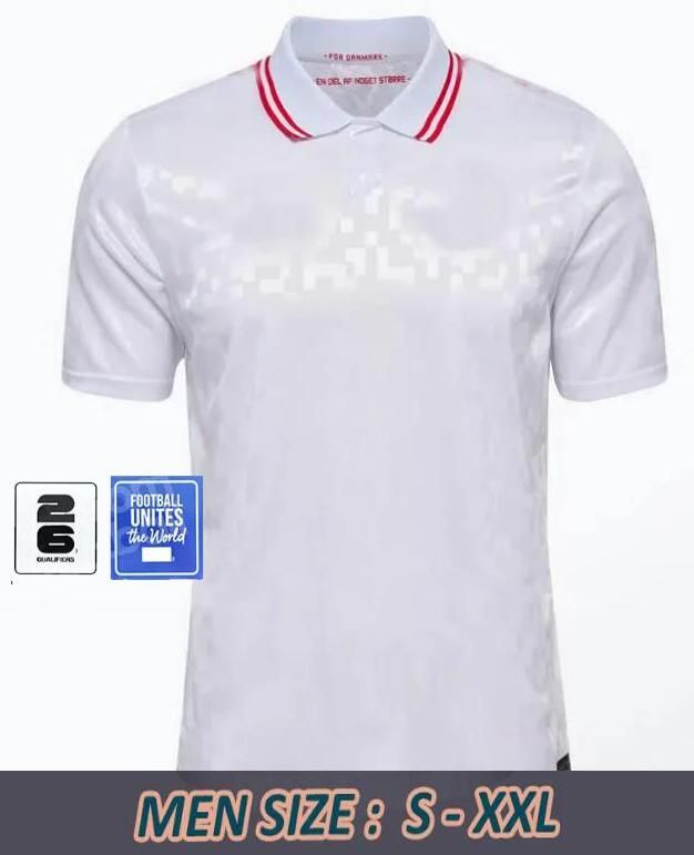 Away player versiov 2024 Euro