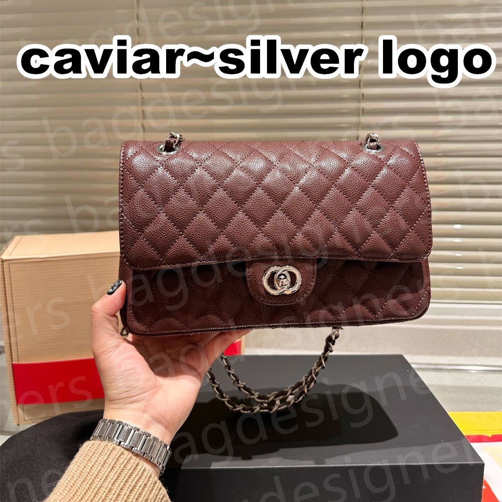 Plum_caviar~Silver logo