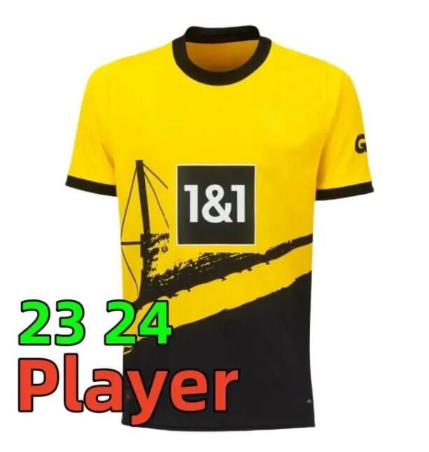 23 24 home player