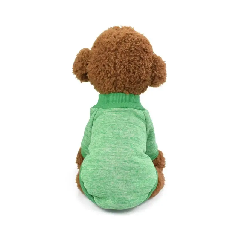 CHINA L зеленый свитер с домашним животным