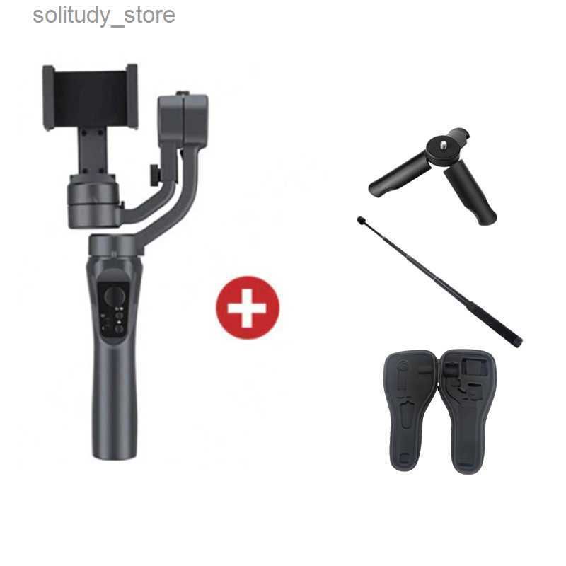 F6 Stabilizzatore c