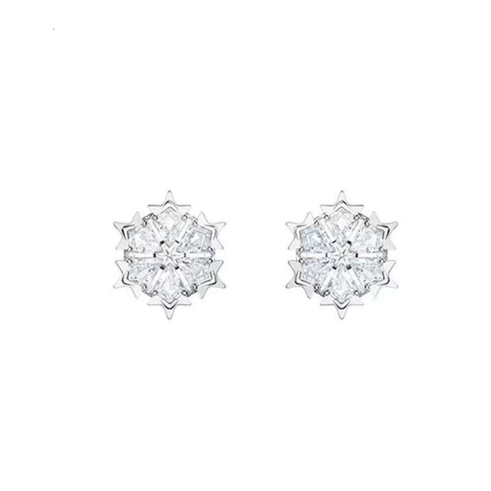 Boucles d'Oreilles Neige Platine