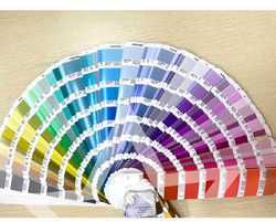 Pantone Colors Customization