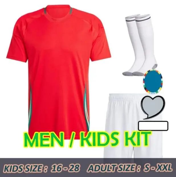 Home Full Kit 2024 Euro Patc