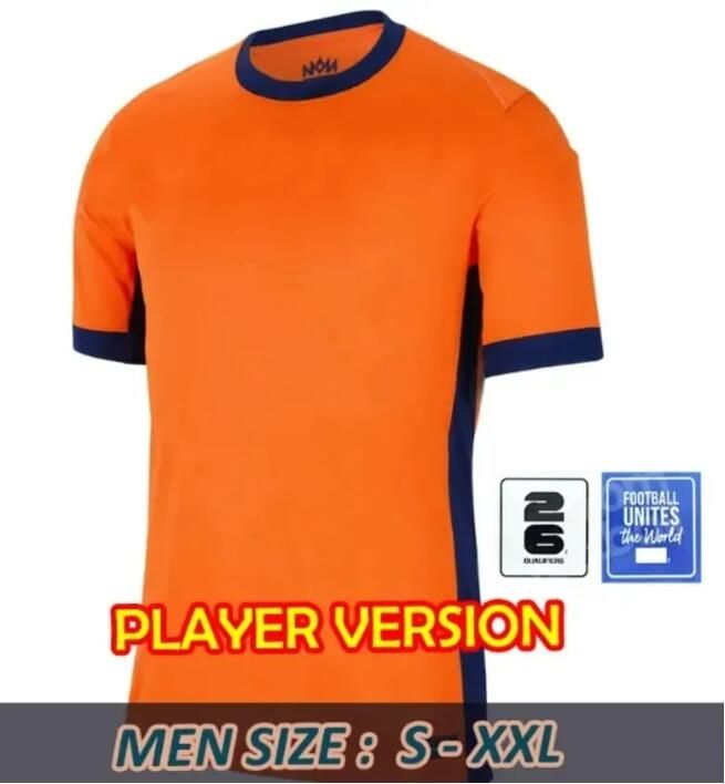 Home Player Version 2026 Quality Patch