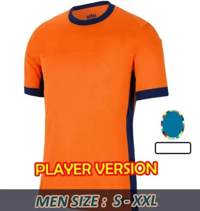 Home Player Version 2024 Euro Patch