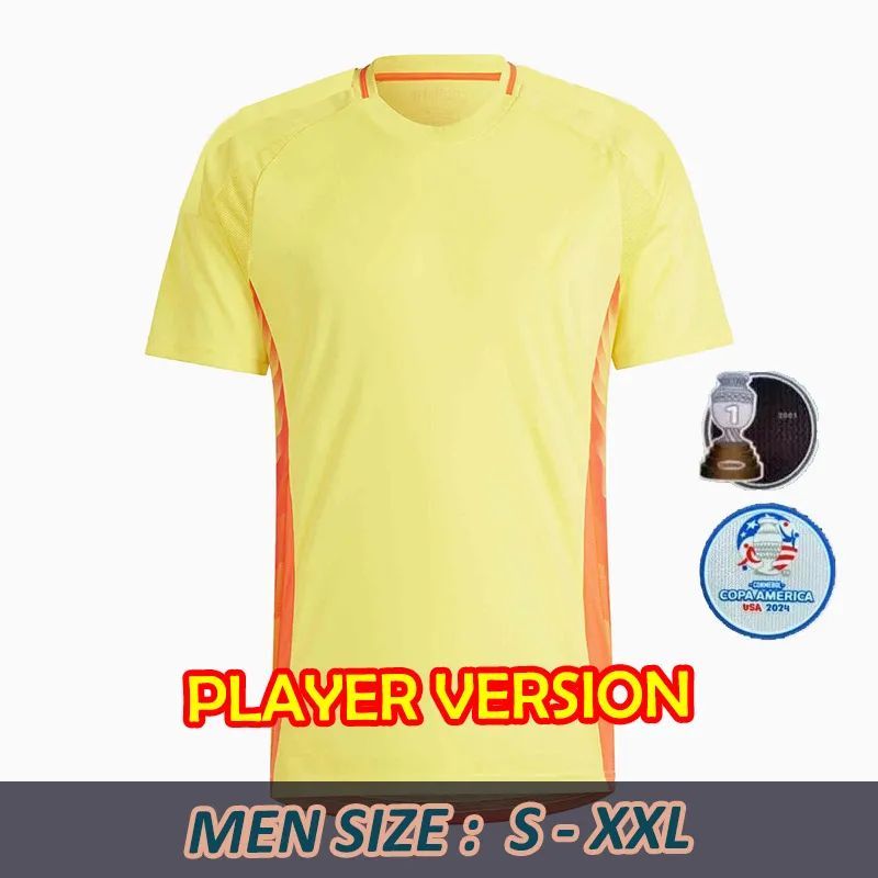 24 25 adult home player patch