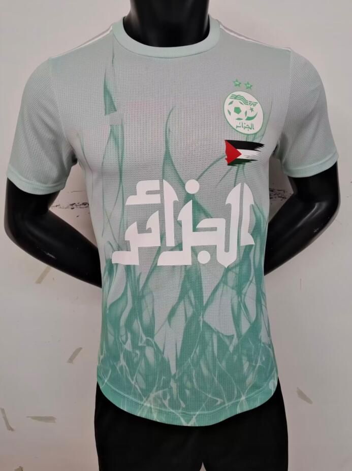 Green Palestine Player edition