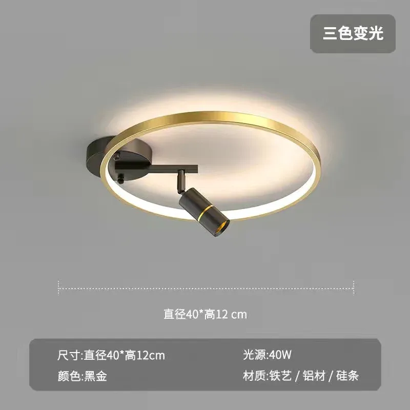 Dimmable RC Gold 40cm