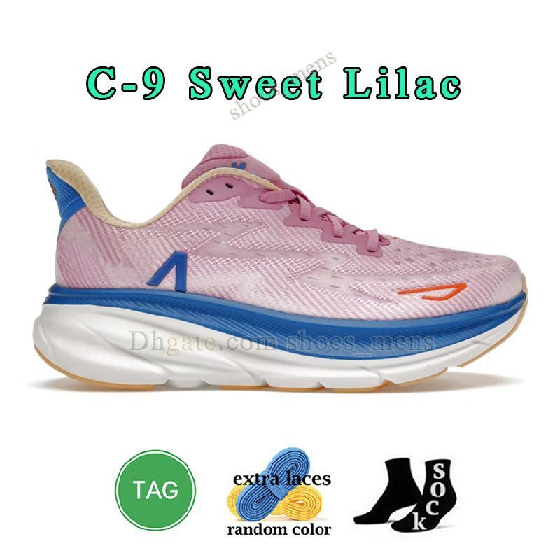 H10 Clifton 9 Cyclenen Sweet Lilac-47