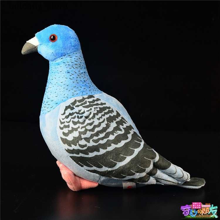 Blue Dove