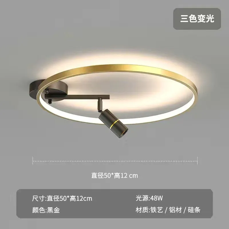 Dimmable RC Gold 50cm