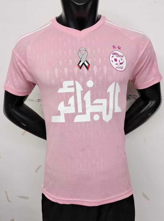 Pink Palestine Player edition