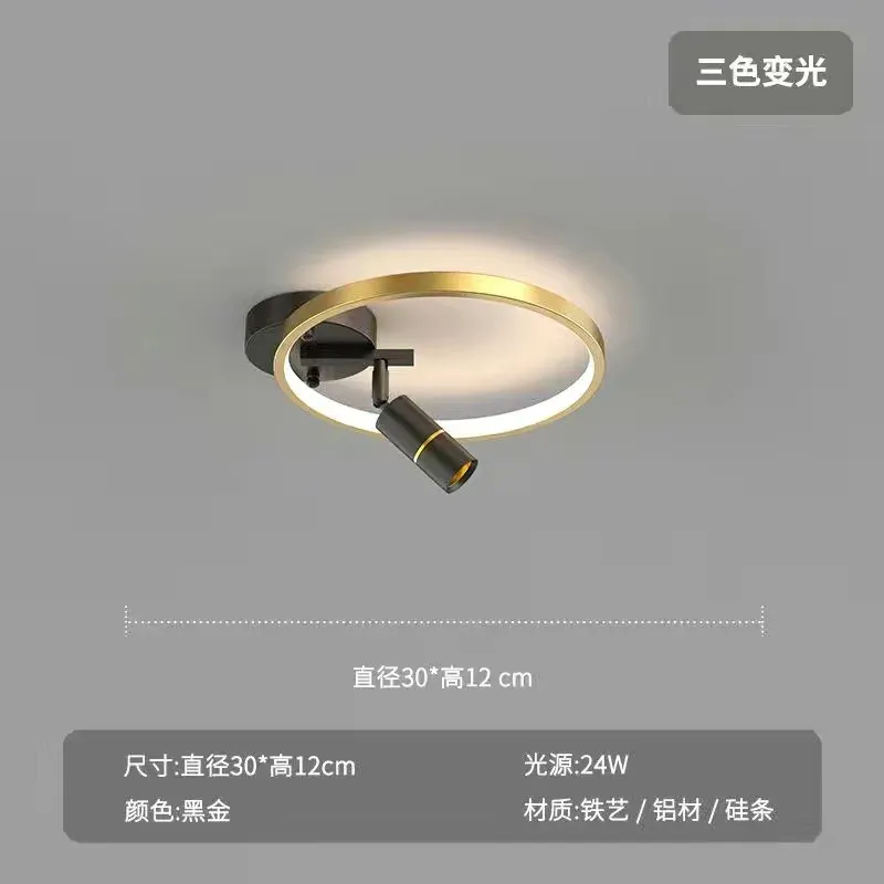 Dimmable RC Gold 30cm